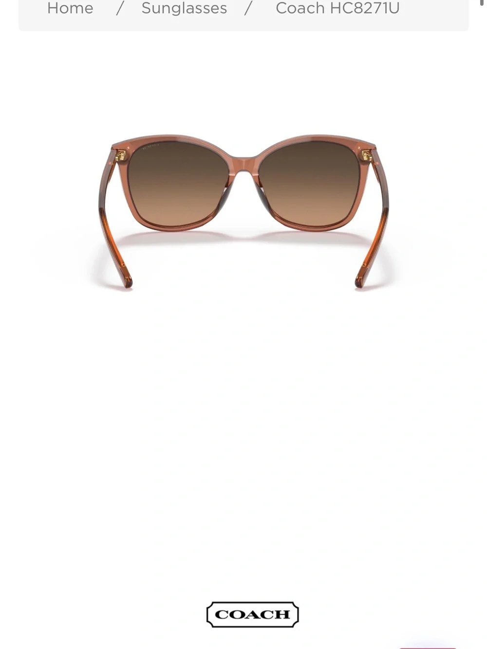 Coach Women's Ginger Brown Frame Sunglasses with Brown Gradient Lenses